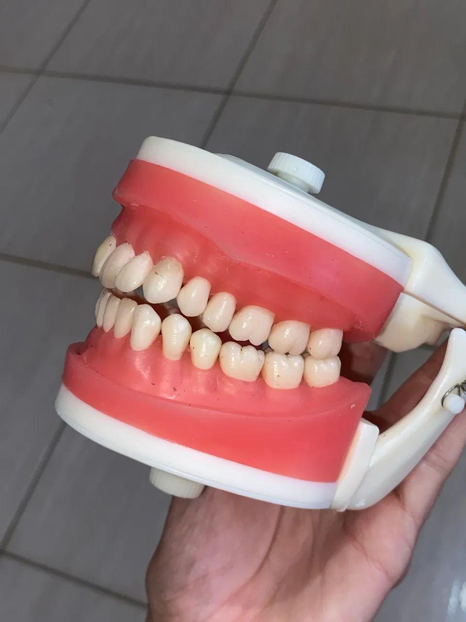 Manequim dentística - Pronew - Foto 4