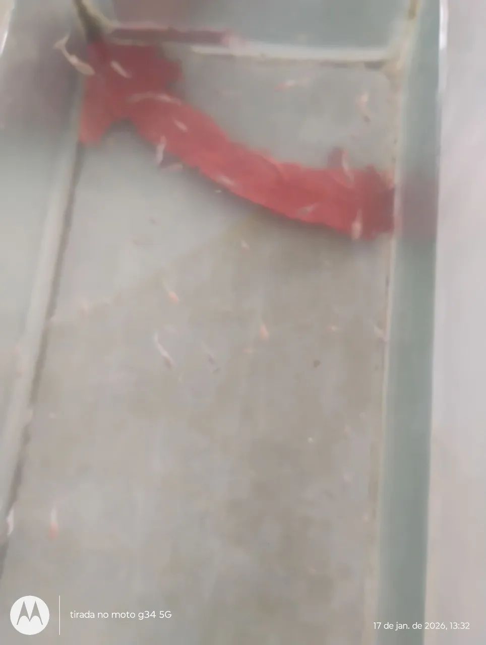 Aquário valor 100 reais, medindo 48cm x 25cm x 15cm.