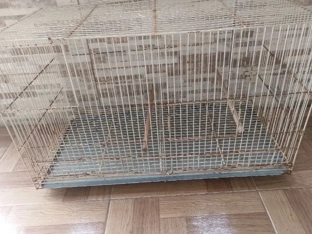 Gaiola para calopsita  - Foto 4