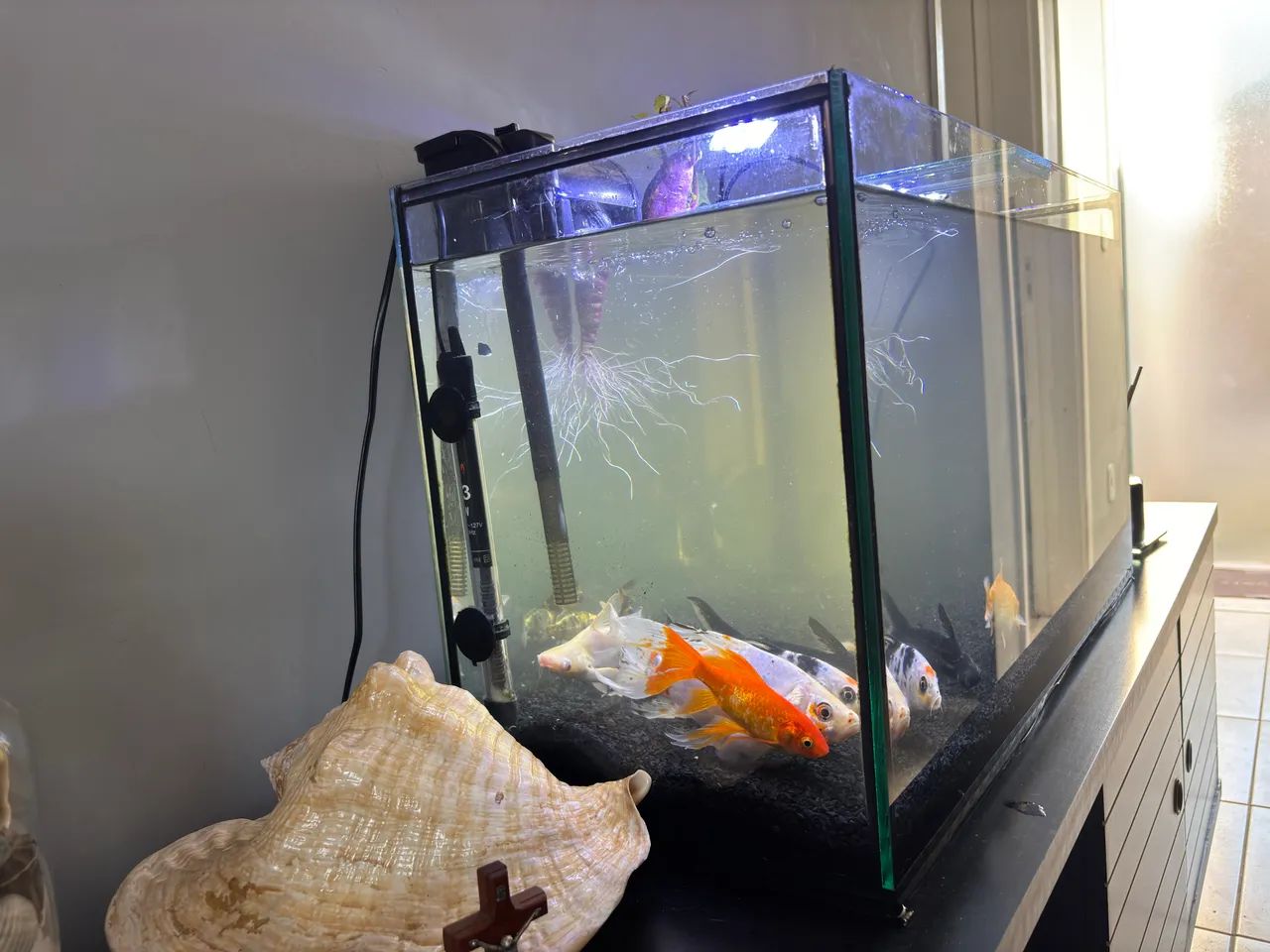 Aquário 80L - Foto 2