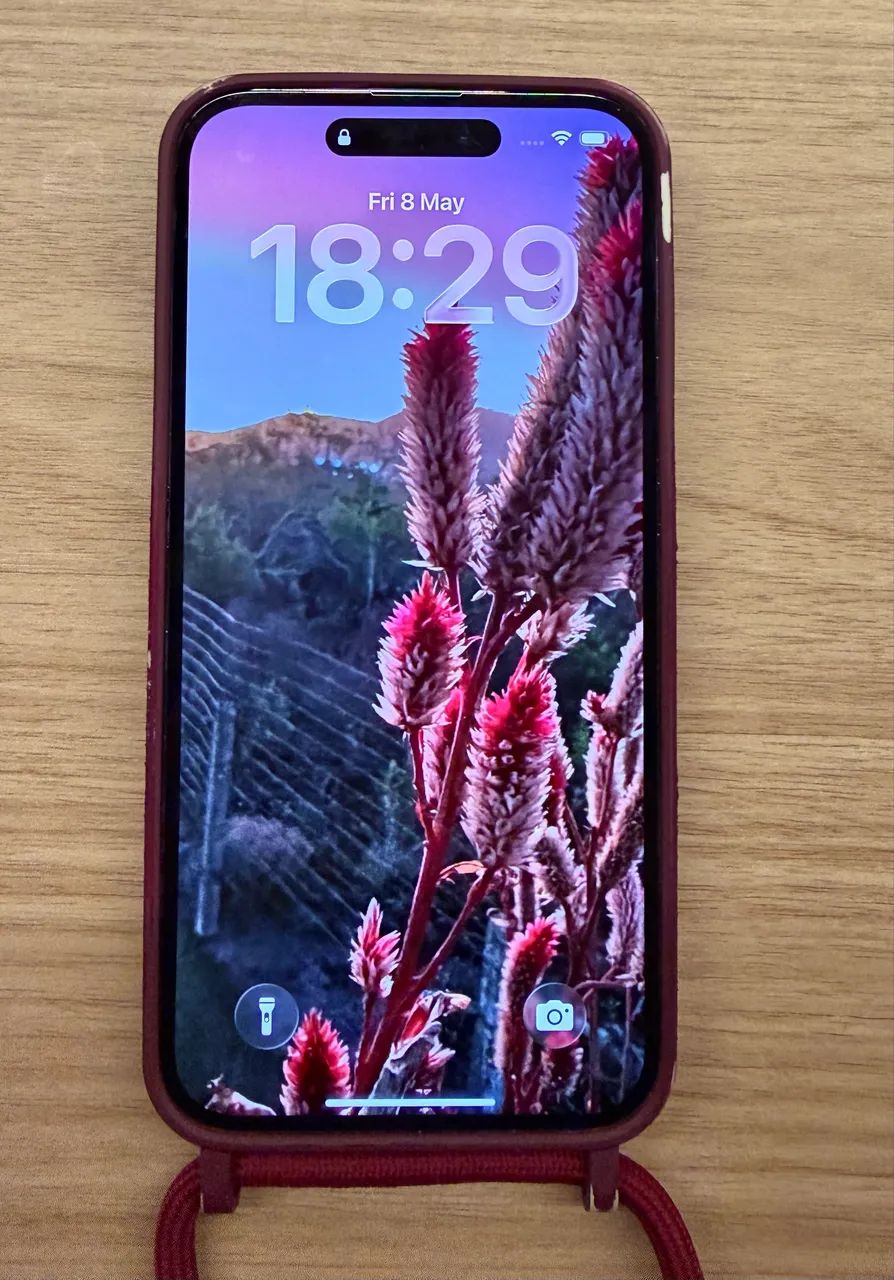 iPhone 14 Pro Max 256 GB roxo + 2 capas