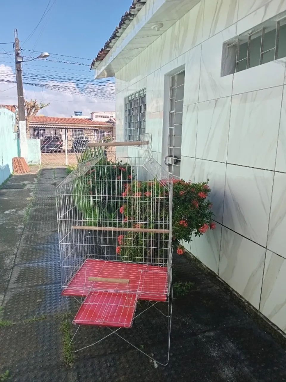 Vende se Gaiolão - Foto 3