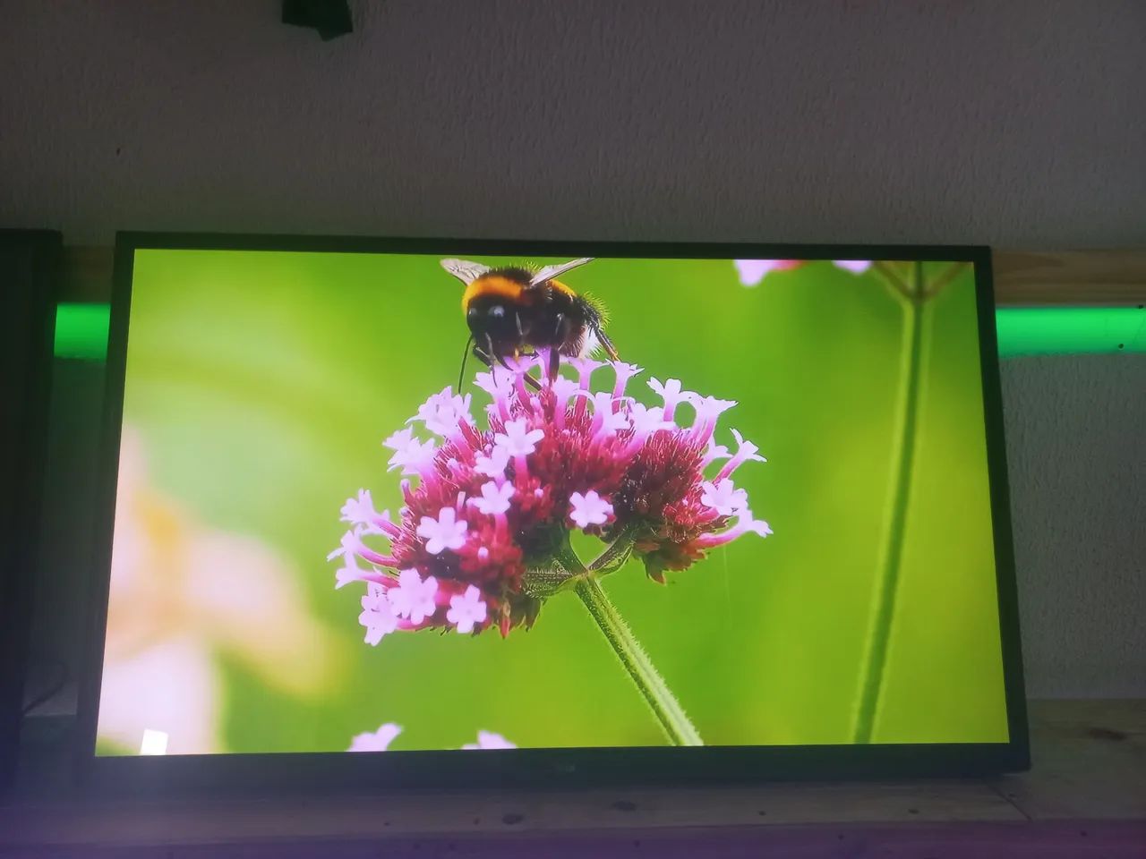 TV 60 polegadas normal ótima pra HDMI vídeo game 