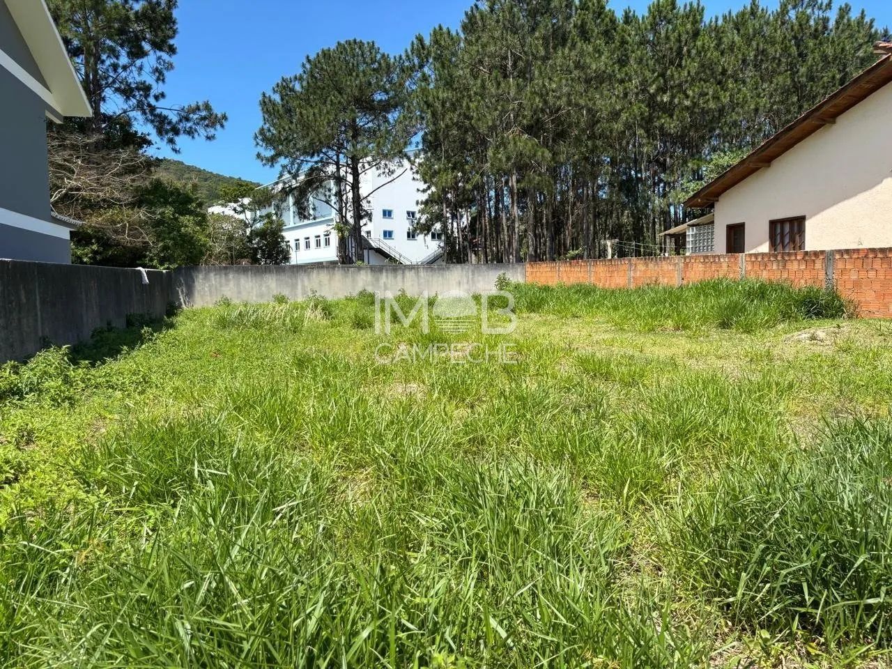 Terreno com 457,50m² à venda no Campeche - Florianópolis/SC - Foto 3