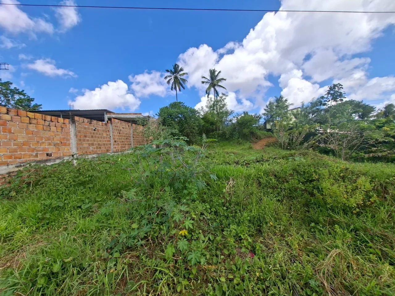 Terreno no Cassange  - Foto 3