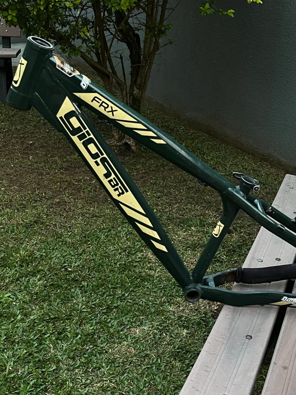 Quadro Gios frx 2019