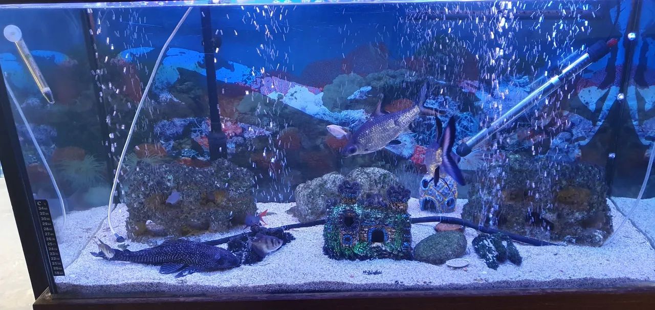 Aquario 200 litros - Foto 3