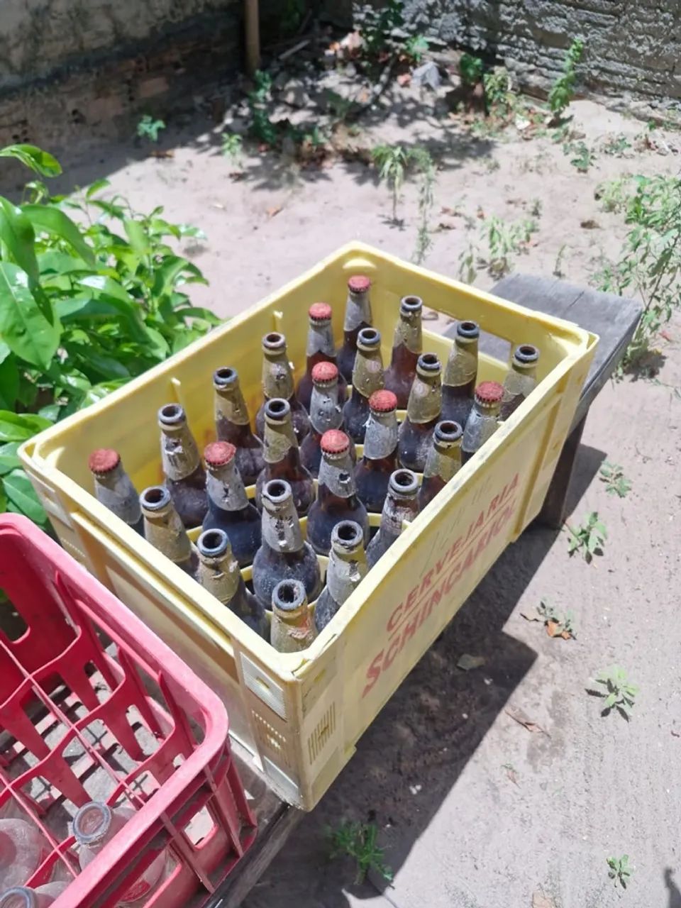 Grade de cerveja  - Foto 2