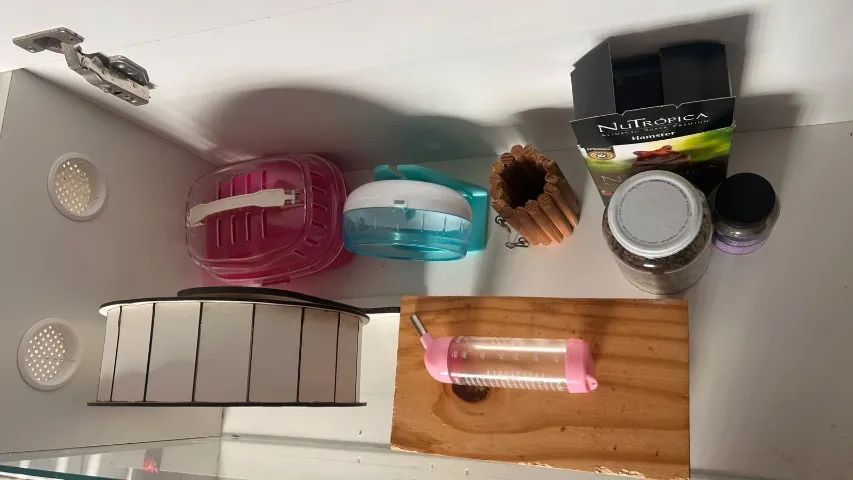Terrário para Hamster Completo + Brindes - Foto 4