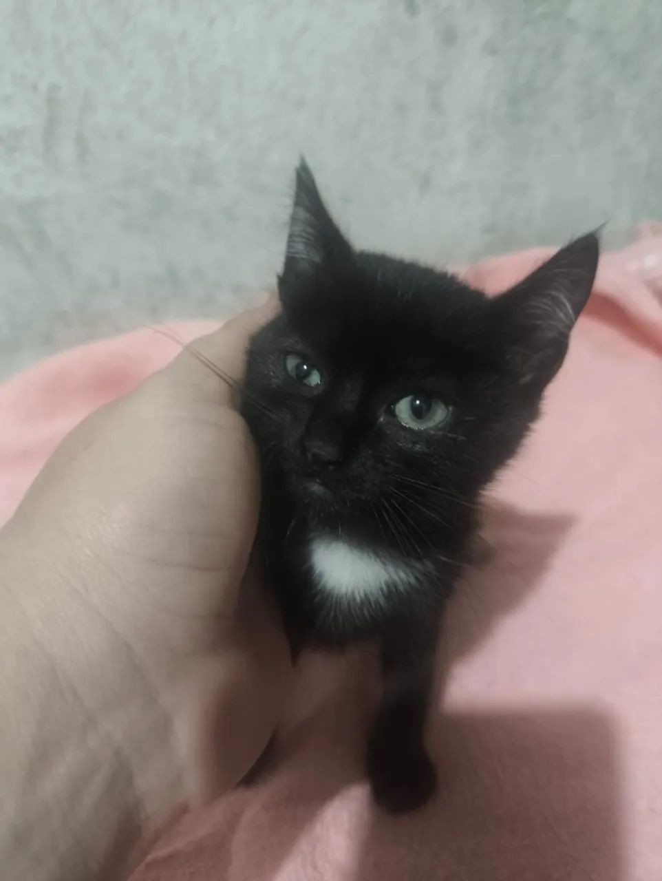 DOAÇÃO - Foto 2