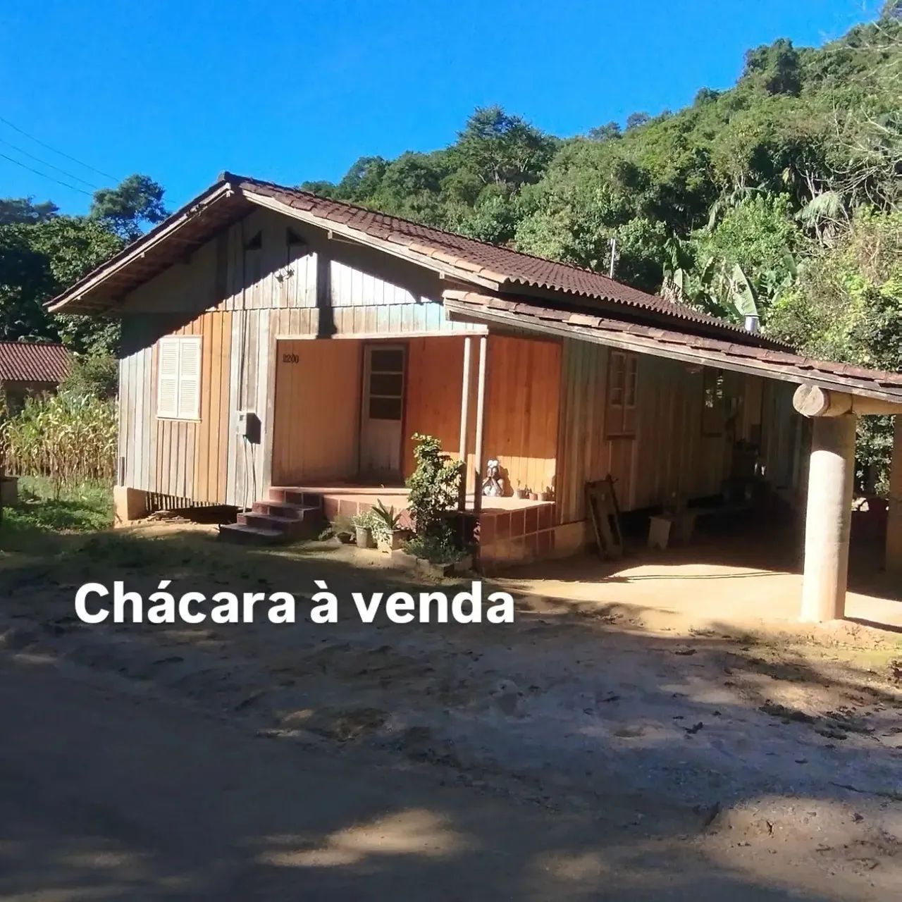 Chácara à venda em canelinha  - Foto 3