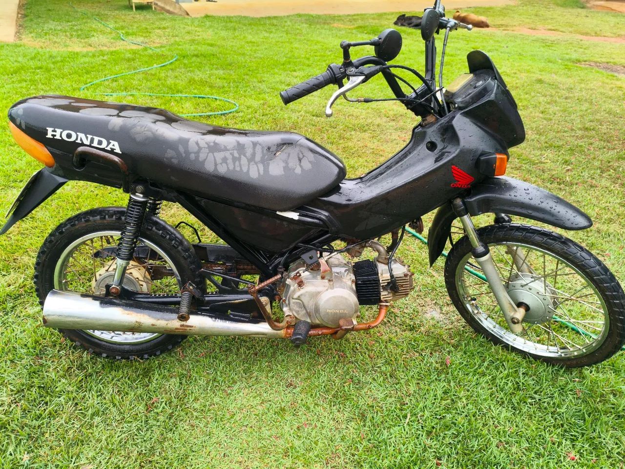 Pop 100 para roça 