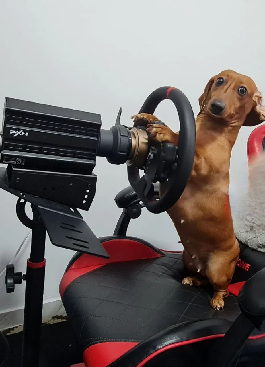Volante para PS5 e PC - Foto 4
