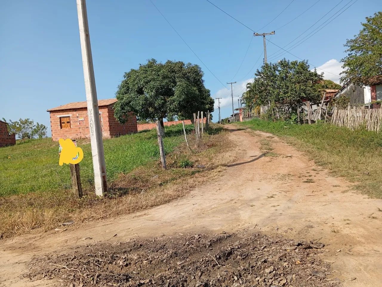 Vendo terreno no povoado Curralinho  - Foto 4