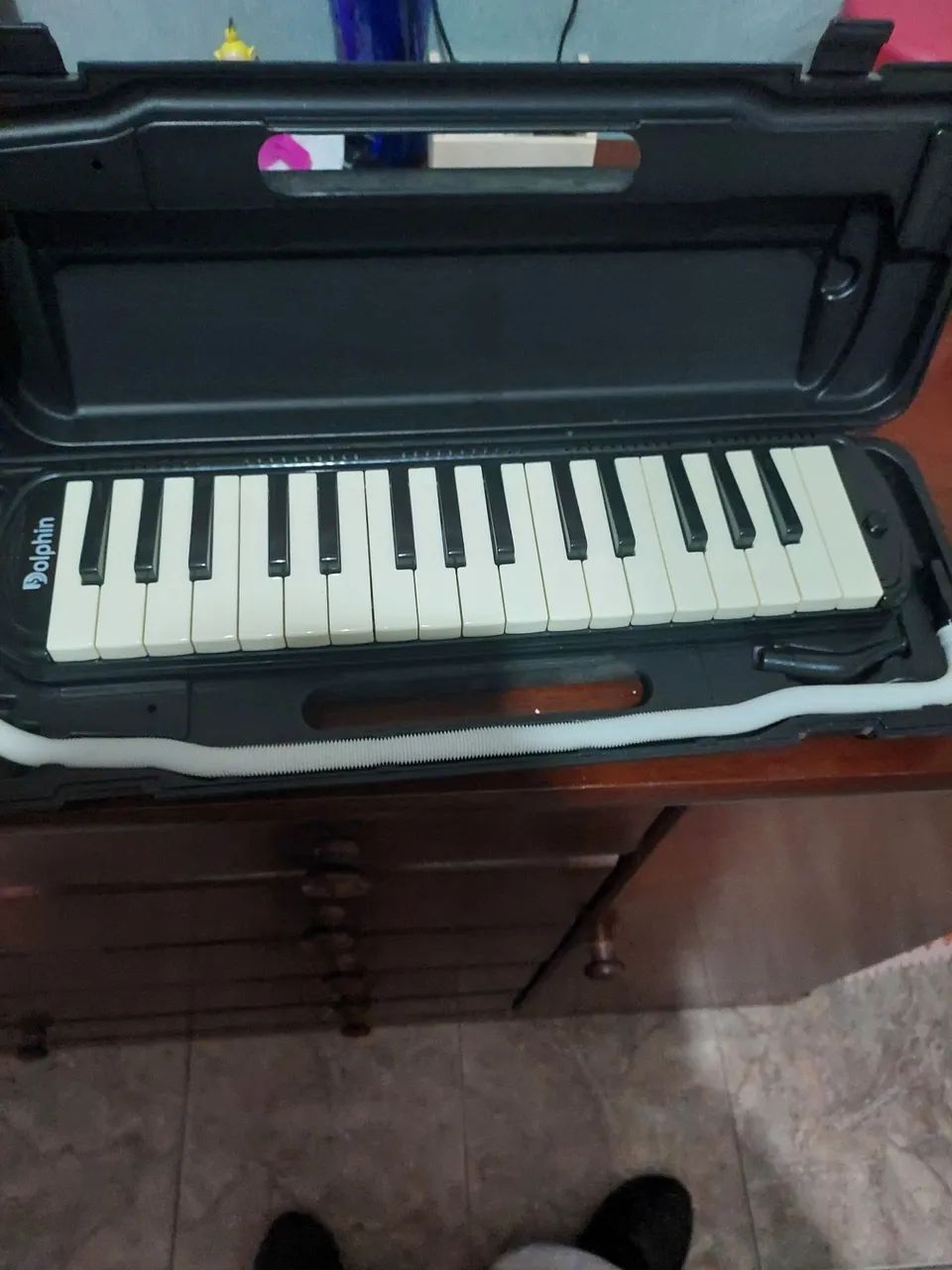 Escaleta dolphin