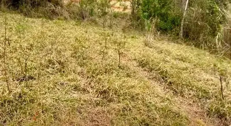 Recanto das aguas em bom repouso - Foto 2