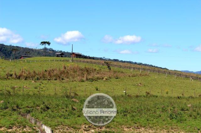 Terreno as margens da BR 282 em Bom Retiro - Foto 10
