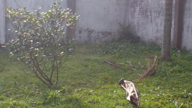 Terreno à venda em Alto da xv, Curitiba cod:EB-715 - Foto 4