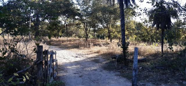 Fazenda de 25 Alqueires, Município Araguapaz-Go - Foto 12