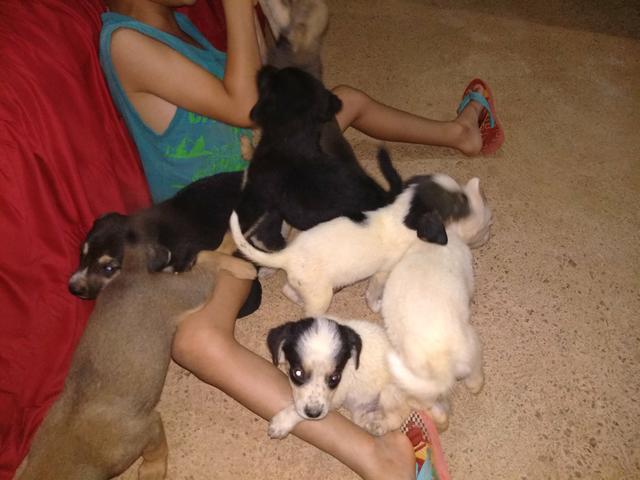 Doação - Foto 4