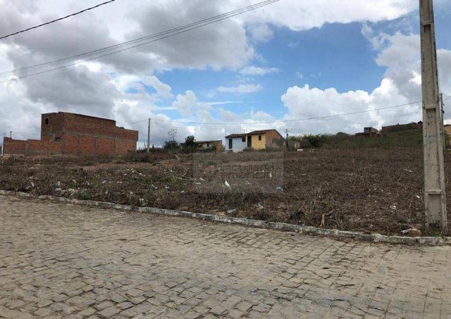 LOTES COM 200m2 - Foto 4