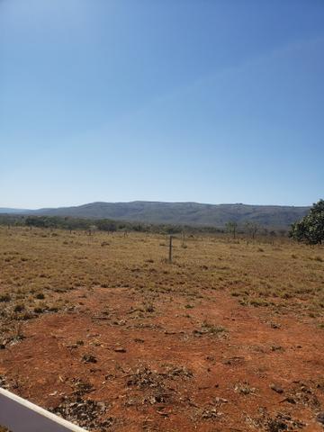 Fazenda de 510ha em Buritis MG - Foto 6
