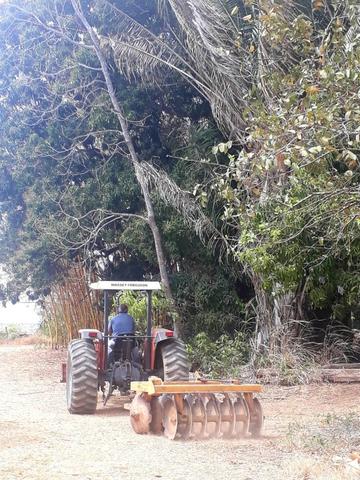 Trator Massey Ferguson com Implemento - Foto 5