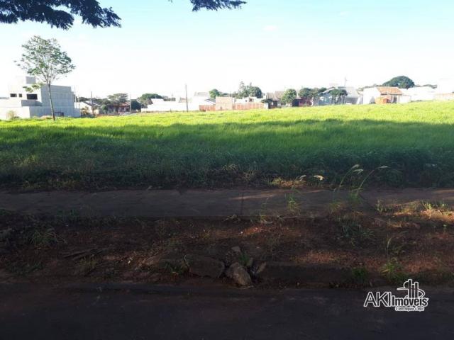 8046 | Terreno à venda em Centro, Nova Esperança - Foto 2