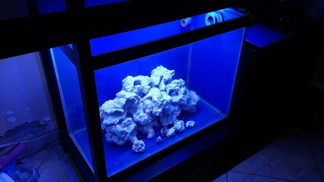 Aquário de 100l