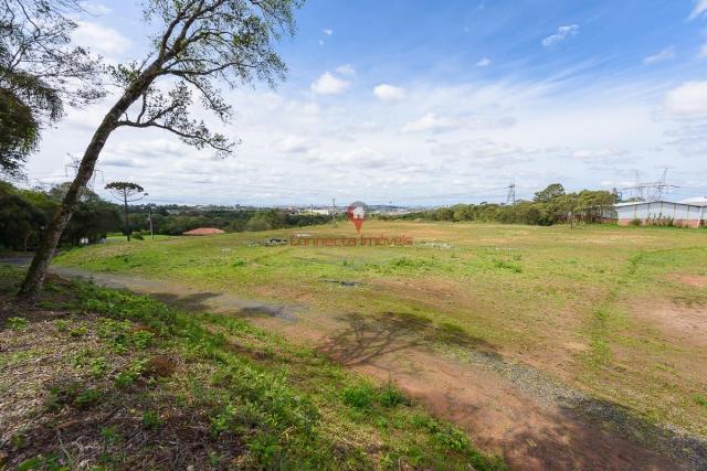 Área de 109.000.000 m² a venda em araucária. - Foto 3