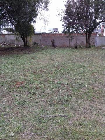 Terreno ZR4 350m2 Novo Mundo - Foto 5