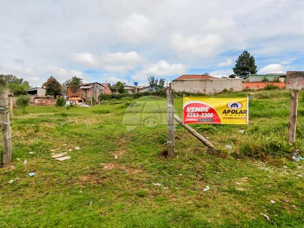 Terreno à venda em São sebastião, São josé dos pinhais cod:153906