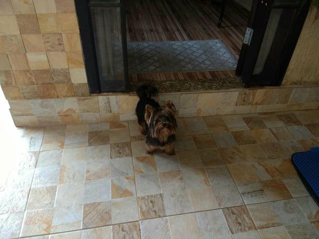 Troco (Por Material de Construção) ou Vendo - Foto 4