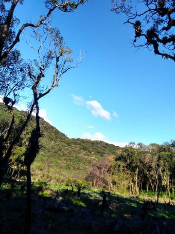 Chacara - Foto 12