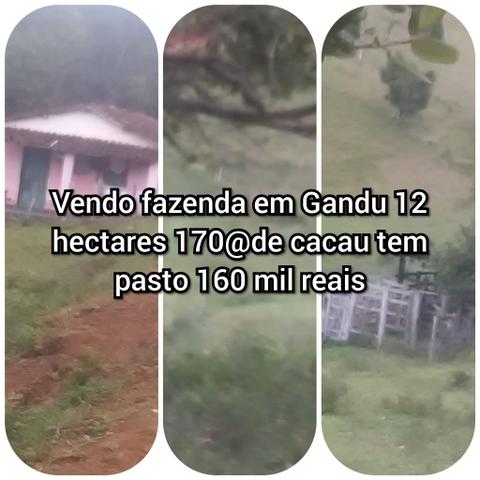 Vendo fazenda em Gandu BA - Foto 4