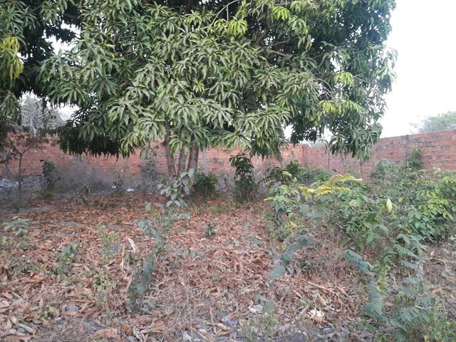Terreno para alugar - Foto 2