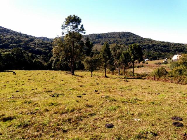 Chácara com casa em Fazenda SOuza - Foto 6