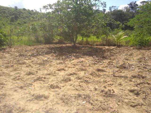 Vendo sítio pojuca ( pode financiar!) - Foto 15
