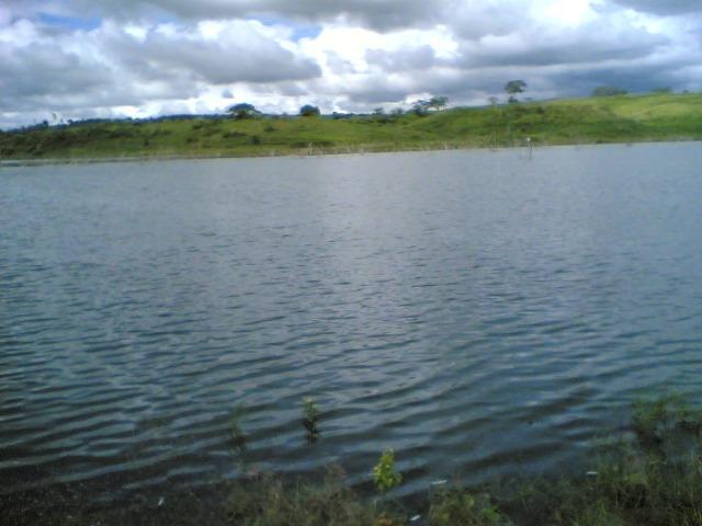Cumaru=Vend. 15 mil p-Hect. Fazenda =Casa,Energia,Água,Piscina e muito mais - Foto 16