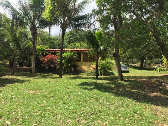 Vendo sítio pojuca ( pode financiar!) - Foto 5