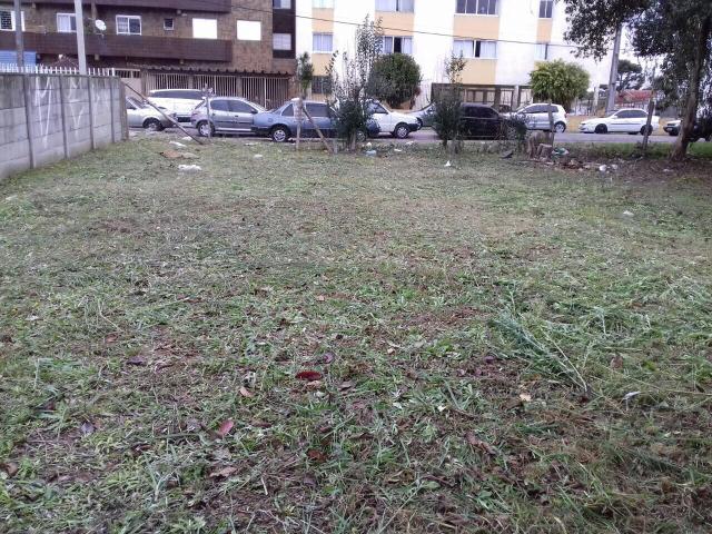 Terreno ZR4 350m2 Novo Mundo - Foto 3