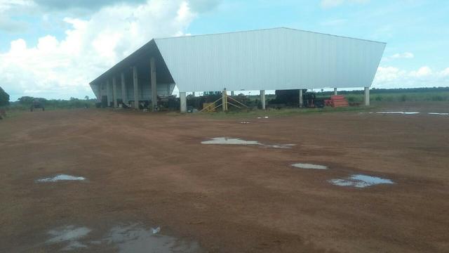 Fazenda de 16.250 Alqueires Paulista, Na Região de Confresa MT - Foto 10