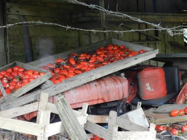 Chácara São José dos Pinhais, Troca por imóveis em Curitiba - Foto 20