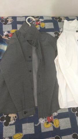 Lote de camisa social