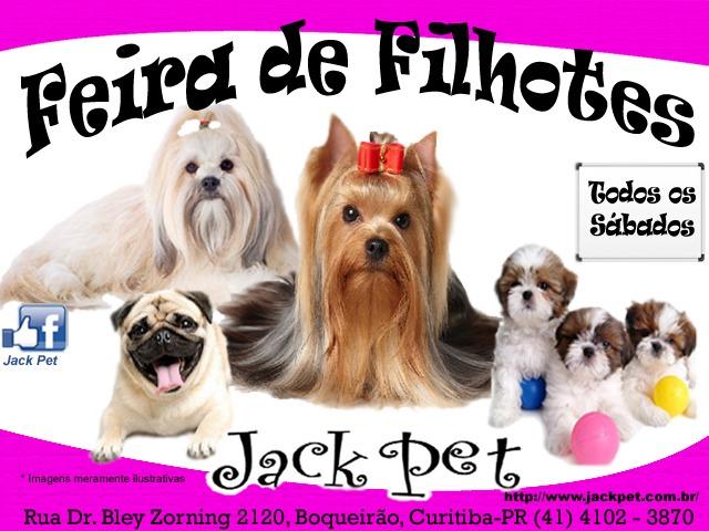Filhotes lhasa , shitzu , yorkshire , pug, spitz , maltes