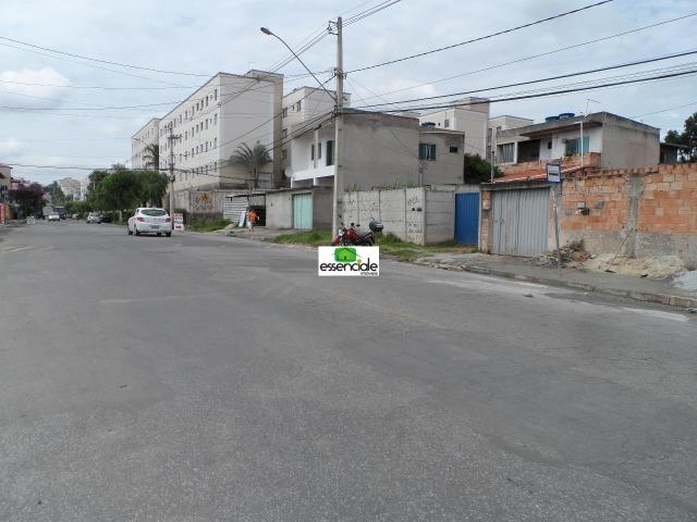 Oportunidade Galpão primeira locação 13564 - Foto 2