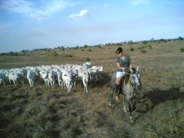 Cumaru=Vend. 15 mil p-Hect. Fazenda =Casa,Energia,Água,Piscina e muito mais - Foto 4