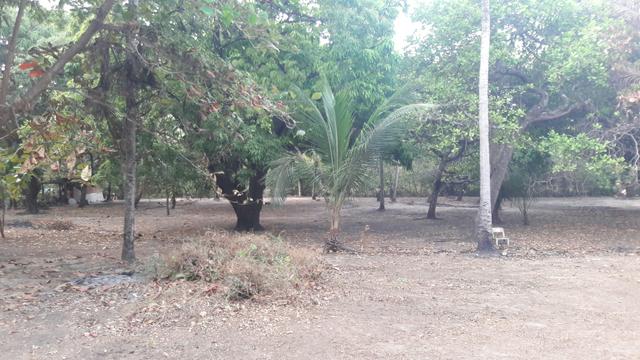 Vendo este lindo sítio em São José de Ribamar - Foto 5