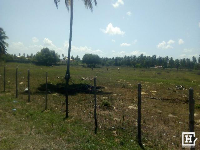 SÍTIO À VENDA - Areia Branca (Zona de Expansão) - Foto 10