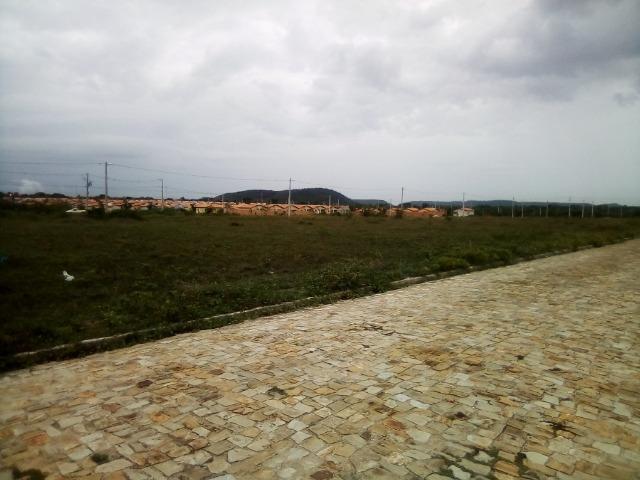 Terreno em Altos-Pi - Foto 3